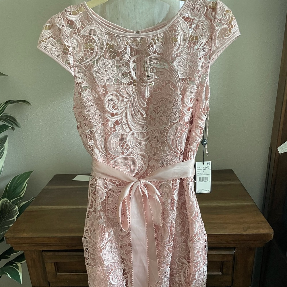 Adrianna Papell Embroidered Lace Cap Sheath Dress